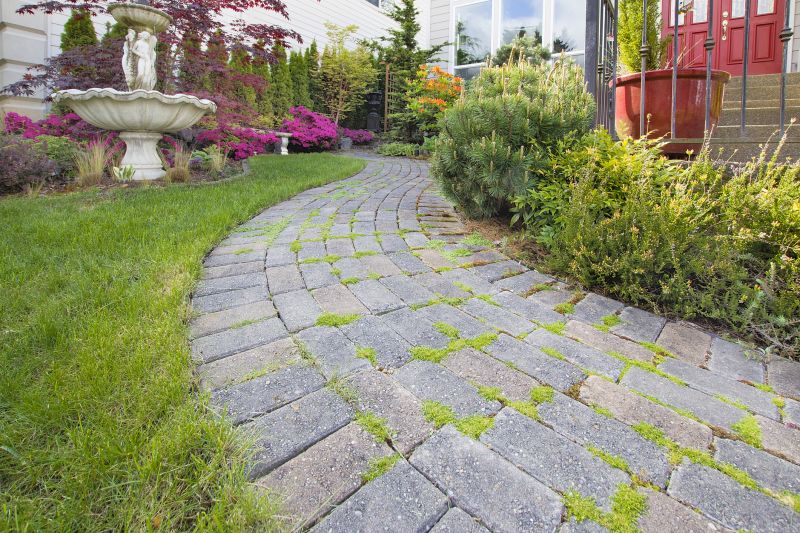Paver Walkway Service