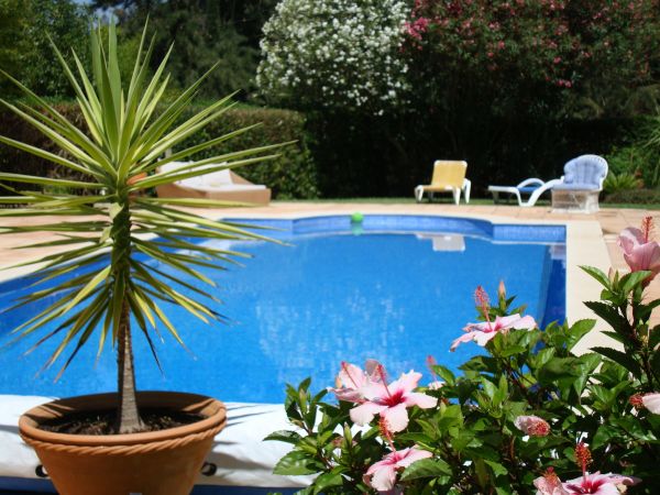 Cost of Pool Terrace Renovation in Camarillo